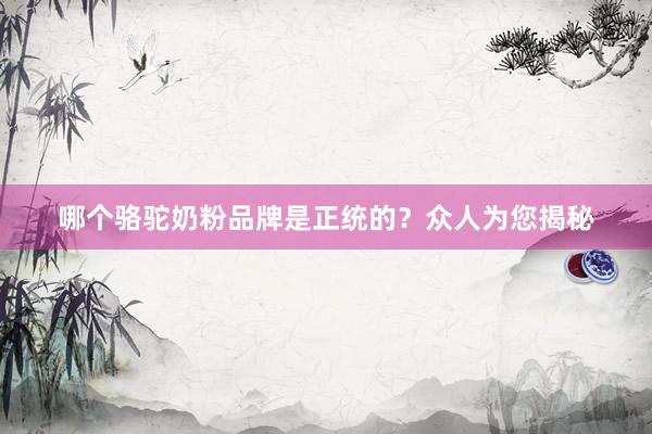 哪个骆驼奶粉品牌是正统的？众人为您揭秘