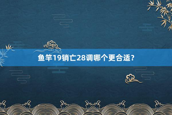 鱼竿19销亡28调哪个更合适?